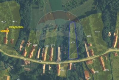 Teren intravilan 1.271 mp – Izvoarele, jud. Alba - 21