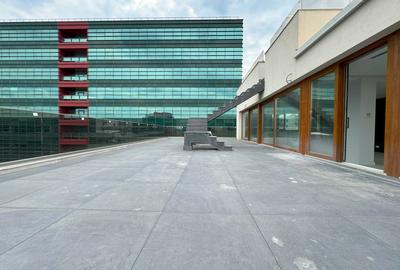 Un penthouse care îți schimbă perspectiva asupra vieții - 11