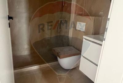 Apartamente noi in Fundeni- Dobroesti - 12