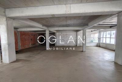 Spatiu Comercial 305 mp+ gradina 178mp, Bieltz/Turnisor - 4
