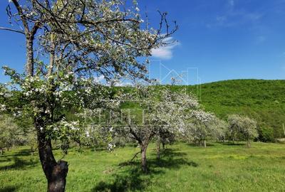 Teren de Vânzare, Budeasa Mica – Potrivit pentru Casă de Vacanță sau Investiție - 1