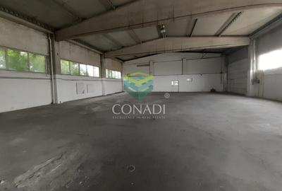 Zona DNCB Clinceni De inchiriat Hala C1 - 3