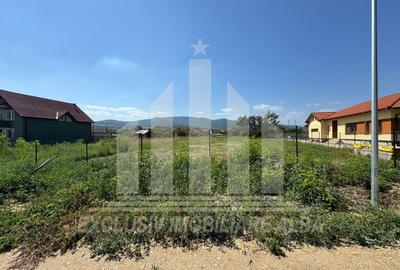 Teren intravilan | 2900 mp | 17 ml deschidere | Alba-Micesti - 2
