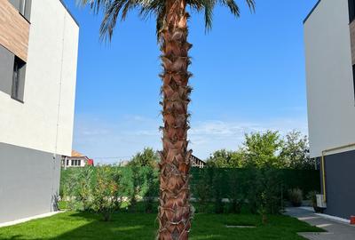 Apartament 2 camere-Zona Obor - 10