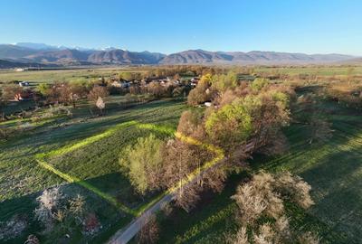 Teren intravilan 2.000 mp de vânzare – Cârnești, Țara Hațegului | vedere Retezat - 6