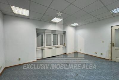 Casa individuala | Spatiu comercial | 306 mp | 415 mp teren | Maieri - 10