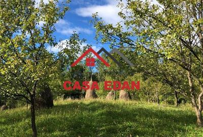 Teren extravilan in Brebu(Pietriceaua)--9104mp--50.000e - 4