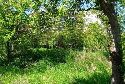 Casa noua tip vila cu 6 apartamente, P+2E, 1500 mp teren, Buna Ziua - 9