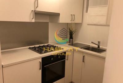 Cișmigiu 2 camere renovat investitie - 5