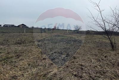 Teren Construcții intravilan de 641 mp, în Oarda