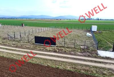 Teren intravilan de vânzare în Angheluș! - 5