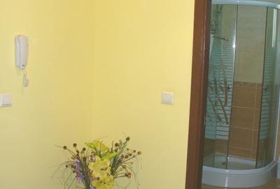 Apartament cu 2 camere in Gusterita - 10