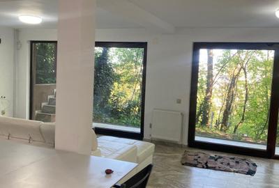 Casa de inchiriat 240mp utili, Zona Grigorescu - 10