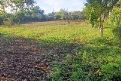 Vand 3413 mp teren intravilan - 10