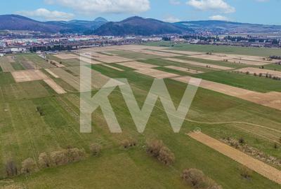 Oportunitate de investitie în Zarnesti I Teren intravilan 8557 mp - 4