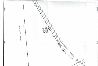 Teren de vanzare | Catelu | 20.060 mp - 4