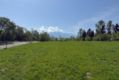 Teren intravilan  intre 500 si 1000 mp cu vedere panoramica   zona  Tohanita - 3