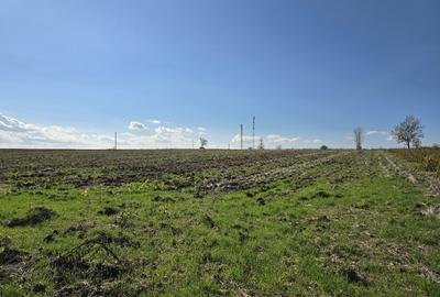 Teren 1300mp cu casa batraneasca - 14