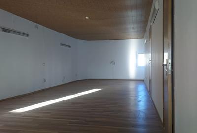MIHAI BRAVU-METROU,VILA 9 CAMERE,LIVING 75 MP,400 MP,P+1+M,CURTE 300 M  2200 eur - 19