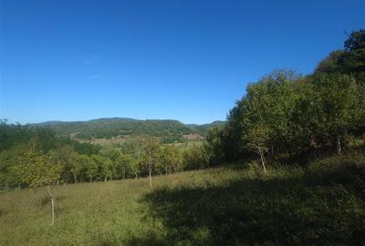 5,6 ha terenuri si padure in Criscior - 6