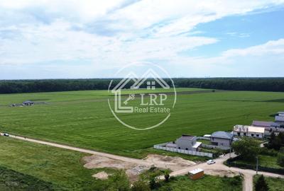 OPORTUNITATE INVESTIȚIE:Teren intravilan 25.000mp Dascălu-Pădure, parcelabil - 7