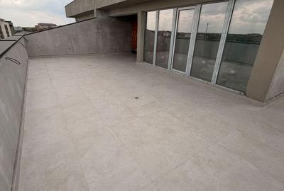 PENTHOUSE-bloc NOU!FINISAT COMPLET LA ALEGERE-AP 4 camere-Raul Doamnei - 5