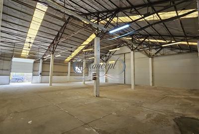 Hale 200-400-1.000 mp, productie, depozitare, logistica - 10