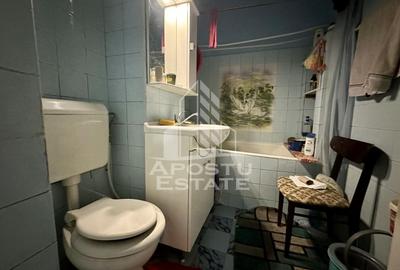 Apartament cu 2 camere de vanzare, etaj 2, zona Dambovita, Timisoara - 6