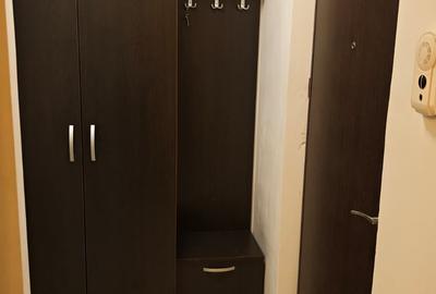 Garsoniera Tineretului Metrou 5 Minute 27mp 7/8 Cat Friendly - 8