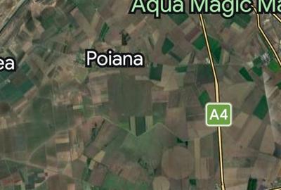 Ocazie! Investitie! 10 hectare, teren, Constanta, Ovidiu - 5