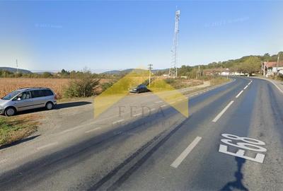 Teren 4000 mp intravilan de vanzare localitatea Barzava - 4