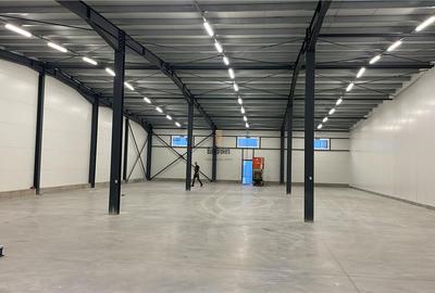 Spatiu Industrial - 1400 mp - Productie - Depozitare - Distributie - 4