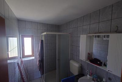 Casa cu gradina si foisor in Brazii Arad - 13