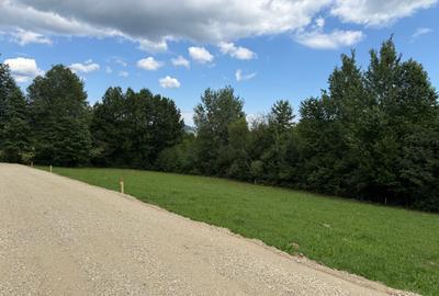 Teren intravilan  1000 mp zona Bran-Tohanita,langa padurela 10 km de Rasnov - 15