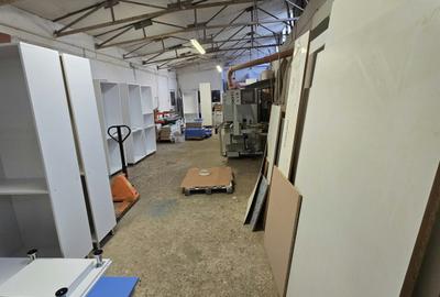 Spațiu industrial, de 400.00 mp, în Calea Severinului