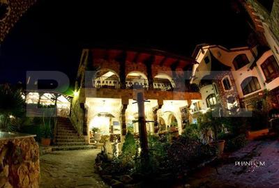 Boutique Hotel & Restaurant de vânzare – concept unic, mix de stiluri, zona Turd - 7