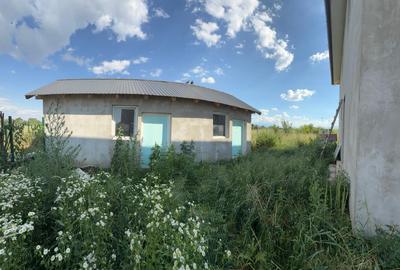 Casa individuala Stupini, str Capra neagra, nefinalizata - 10