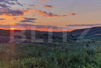 Teren agricol extravilan de 4833 mp, în Cojocna