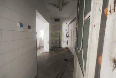 Spatiu comercial 9 camere, casa 2 camere,  teren 354 mp, Brestei. - 8