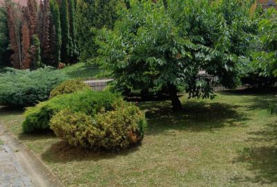Eleganță, confort și rafinament – Casa ideală în Sântcraiul de Mureș - 1