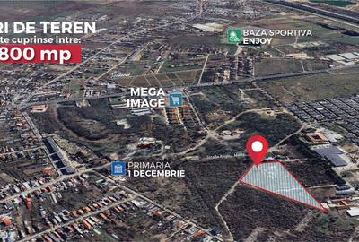 Teren Construcții intravilan de 19470 mp, în 1 Decembrie