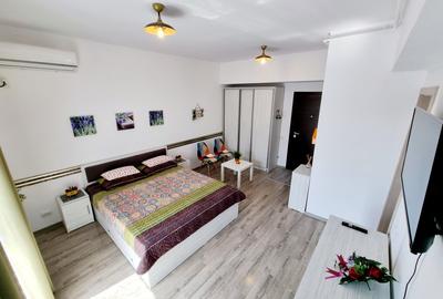 Calea Calarasilor | Muncii | Matei Basarab | Garsoniera - Prima inchiriere - 4