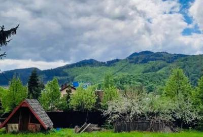 Teren intravilan de vânzare 800mp Darste Brașov - 8