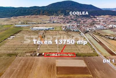 Teren Construcții intravilan de 13750 mp, în Sud-Est