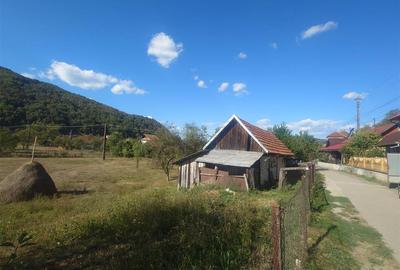 Casa si Teren Criscior - 19