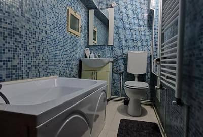 INCHIRIEZ apartament 2 camere la casa,renovat,zona Orasul de Jos - 7