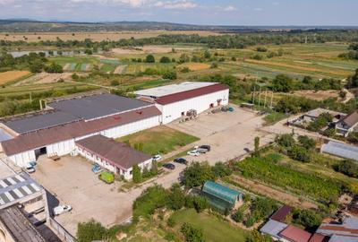 Proprietate industrială, hală 4.660 mp, teren 12.980 mp, Târgoviște - 26