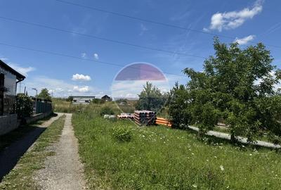 Teren Borhanci 593 mp cu PUD si AC aprobate - 9