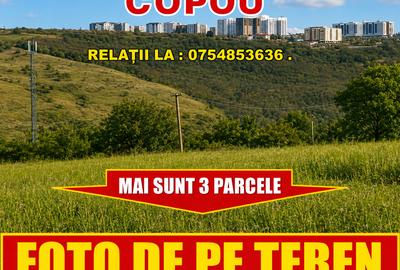PACURARI-PLATOUL BELDIMAN, 490 MP , numai 20000 euro , ideal investitie - 3