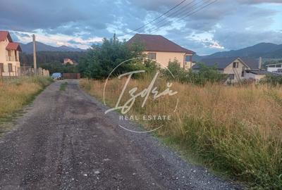 Teren intravilan pentru casa in Talmaciu - 5